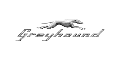 Greyhound