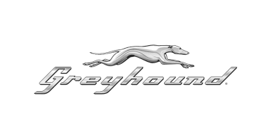 Greyhound White