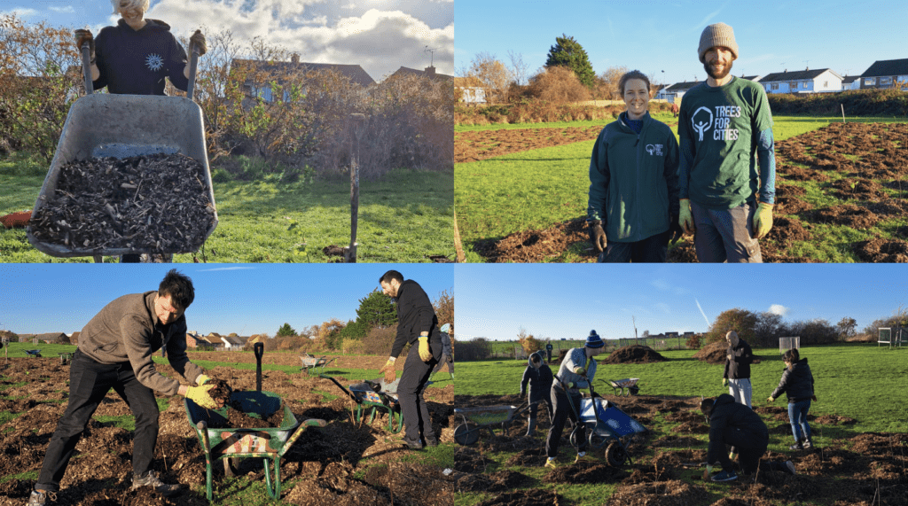 Images of the Icomera and Trees for Cities teams helping to plant trees in Stonehill Park, Medway